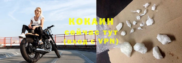 прущие крисы Магас