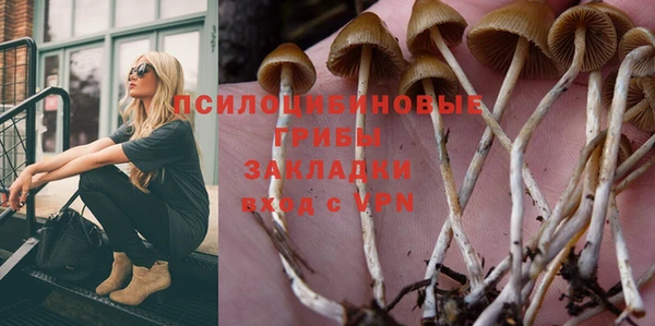 прущие крисы Магас