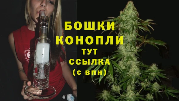 прущие крисы Магас