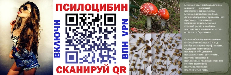 где купить наркоту  Энгельс  Псилоцибиновые грибы мицелий 