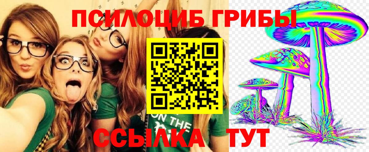 Псилоцибиновые грибы Psilocybine cubensis  Галлюциногенные грибы Cubensis  Энгельс  Вход с VPN 